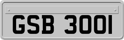 GSB3001