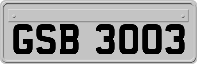 GSB3003