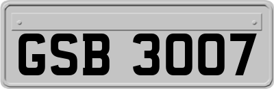 GSB3007