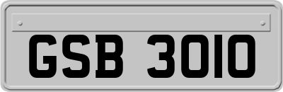 GSB3010