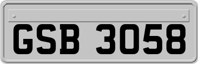 GSB3058