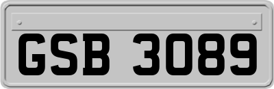 GSB3089