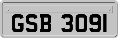 GSB3091