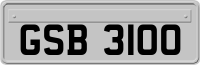 GSB3100