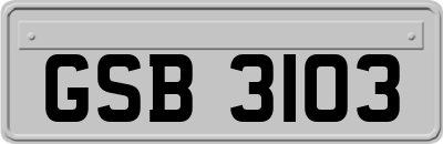 GSB3103