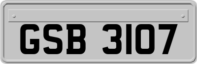 GSB3107