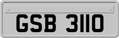 GSB3110