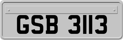GSB3113