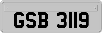 GSB3119