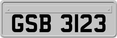 GSB3123