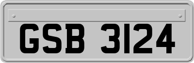 GSB3124