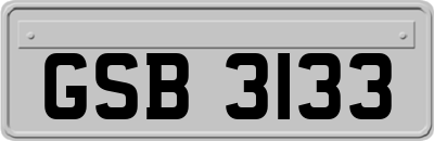 GSB3133