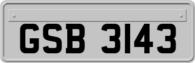 GSB3143