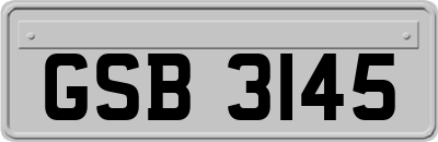 GSB3145