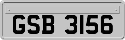 GSB3156