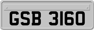 GSB3160