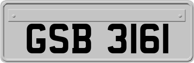 GSB3161
