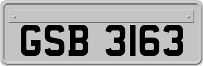 GSB3163