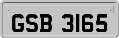 GSB3165