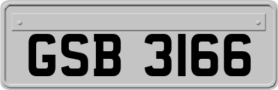 GSB3166