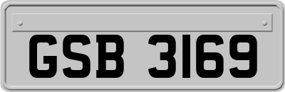 GSB3169
