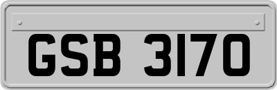 GSB3170