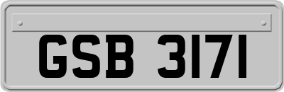 GSB3171