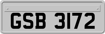 GSB3172