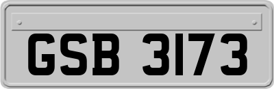 GSB3173