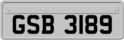 GSB3189