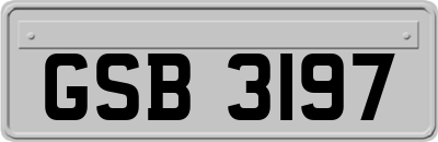 GSB3197