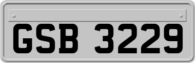 GSB3229