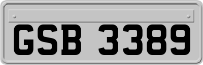 GSB3389