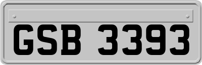 GSB3393