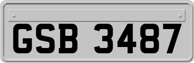 GSB3487