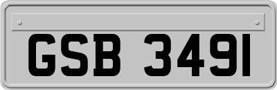 GSB3491
