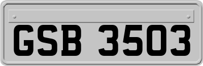 GSB3503