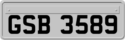 GSB3589