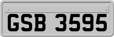 GSB3595