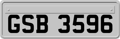 GSB3596