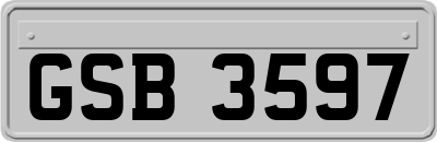 GSB3597