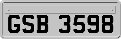 GSB3598