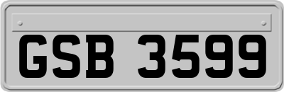 GSB3599