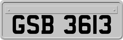 GSB3613