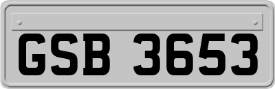 GSB3653