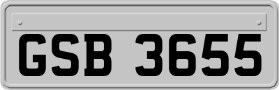 GSB3655