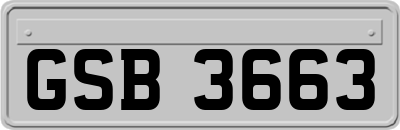 GSB3663