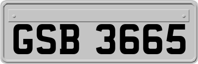 GSB3665