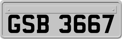 GSB3667