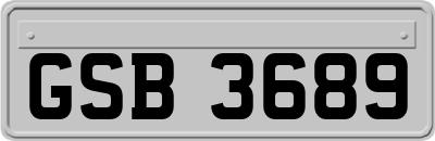 GSB3689